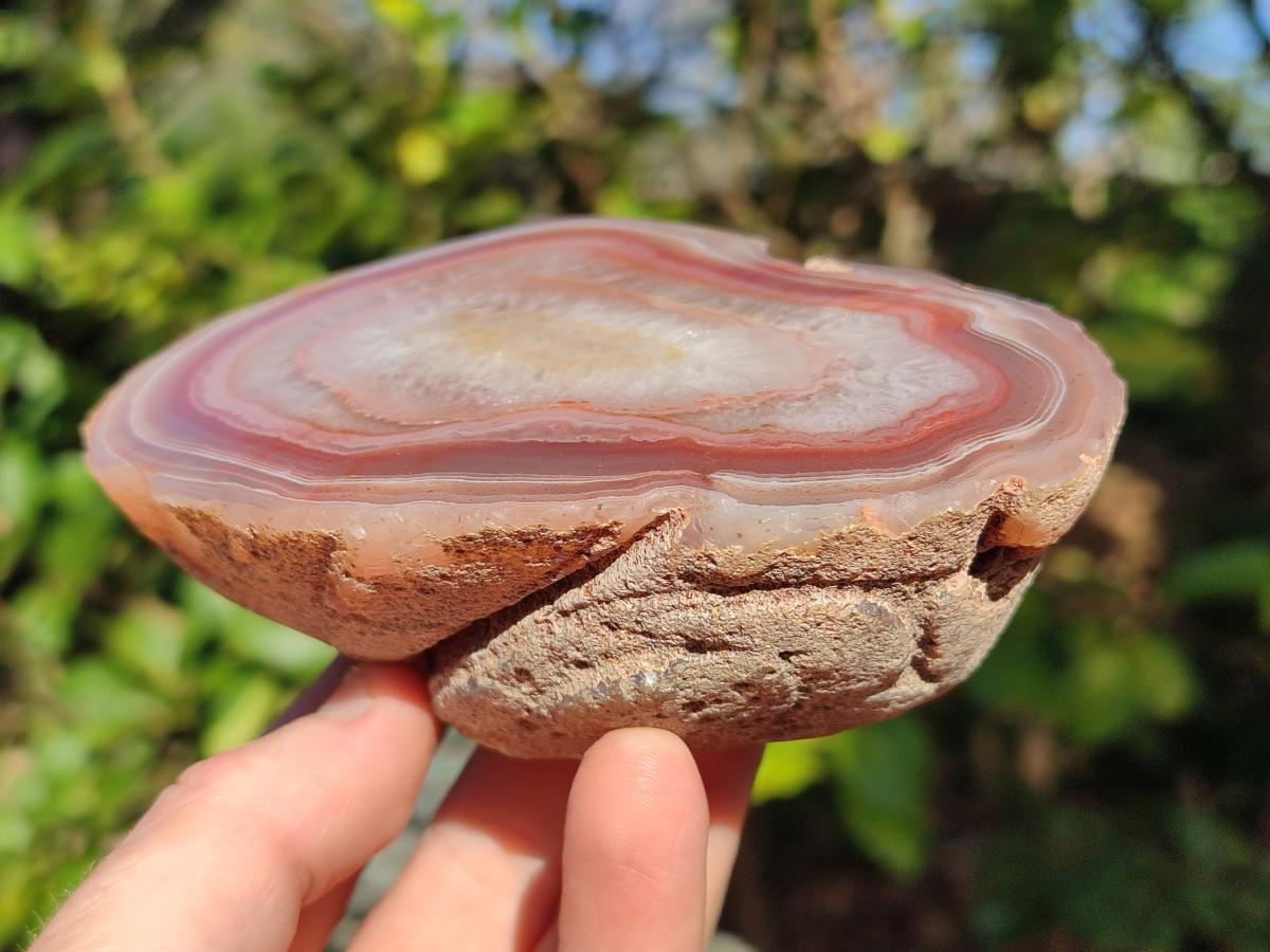 Polished One Side Red Shashe River Agate Nodules x 4 From Shashe River, Zimbabwe - Toprock Gemstones and Minerals 