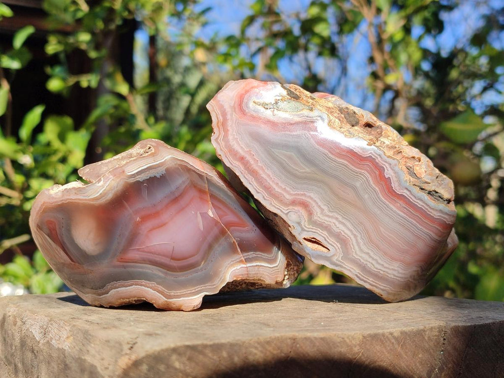 Polished One Side Red Shashe River Agate Nodules x 4 From Shashe River, Zimbabwe - Toprock Gemstones and Minerals 