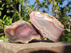 Polished One Side Red Shashe River Agate Nodules x 4 From Shashe River, Zimbabwe - Toprock Gemstones and Minerals 