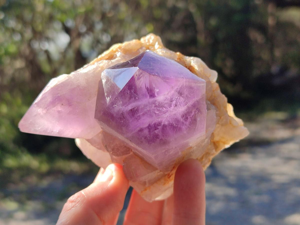 Polished Jacaranda Amethyst Crystal Clusters x 6 From Mumbwa, Zambia - Toprock Gemstones and Minerals 
