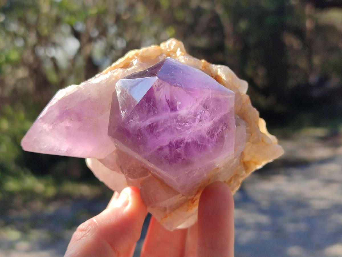 Polished Jacaranda Amethyst Crystal Clusters x 6 From Mumbwa, Zambia - Toprock Gemstones and Minerals 