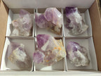 Polished Jacaranda Amethyst Crystal Clusters x 6 From Mumbwa, Zambia - Toprock Gemstones and Minerals 