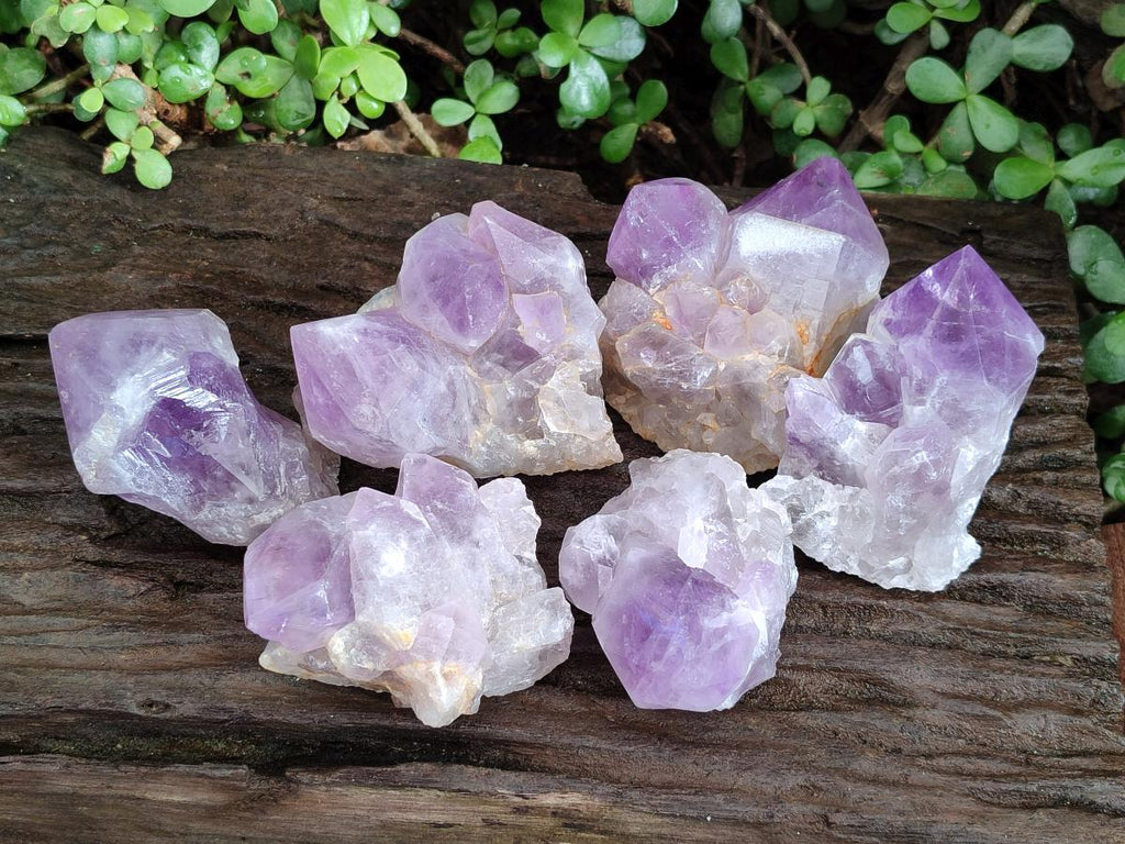 Polished Jacaranda Amethyst Crystal Clusters x 6 From Mumbwa, Zambia - Toprock Gemstones and Minerals 