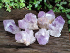 Polished Jacaranda Amethyst Crystal Clusters x 6 From Mumbwa, Zambia - Toprock Gemstones and Minerals 