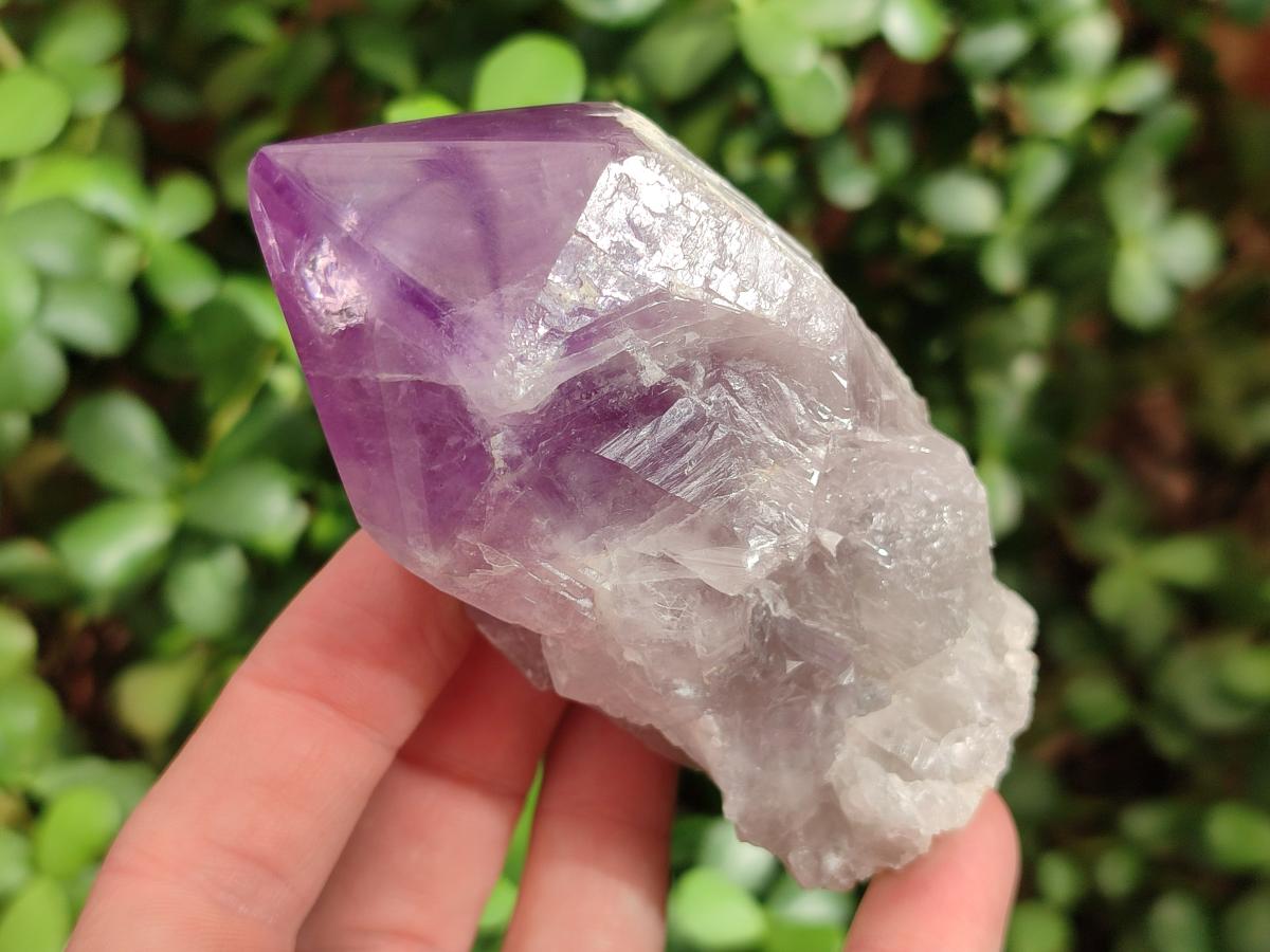 Polished Jacaranda Amethyst Crystal Clusters x 6 From Mumbwa, Zambia - Toprock Gemstones and Minerals 