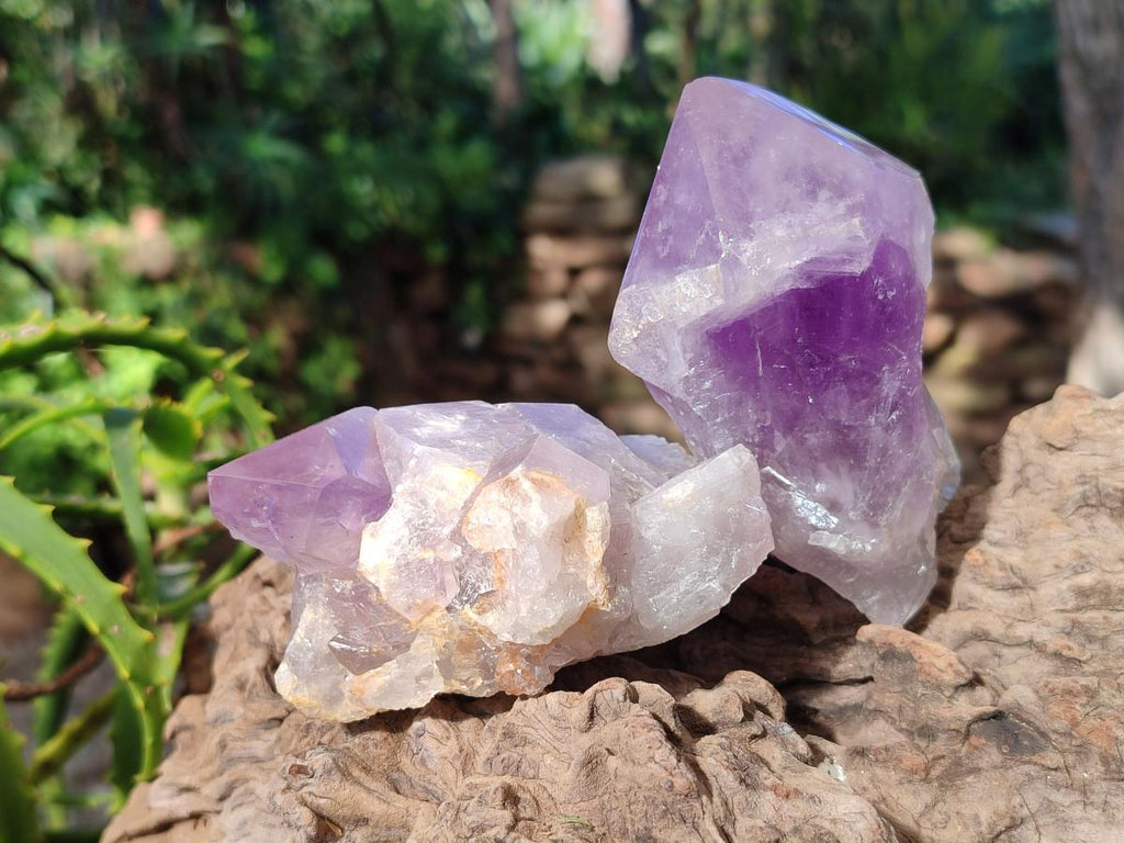 Polished Jacaranda Amethyst Crystal Clusters x 6 From Mumbwa, Zambia - Toprock Gemstones and Minerals 
