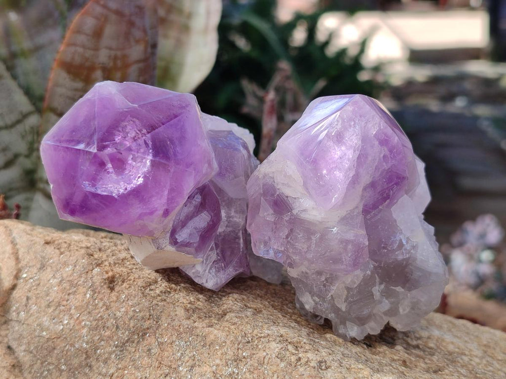 Polished Jacaranda Amethyst Crystal Clusters x 6 From Mumbwa, Zambia - Toprock Gemstones and Minerals 