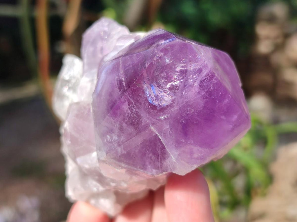 Polished Jacaranda Amethyst Crystal Clusters x 6 From Mumbwa, Zambia - Toprock Gemstones and Minerals 