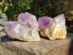 Polished Jacaranda Amethyst Crystal Clusters x 6 From Mumbwa, Zambia - Toprock Gemstones and Minerals 