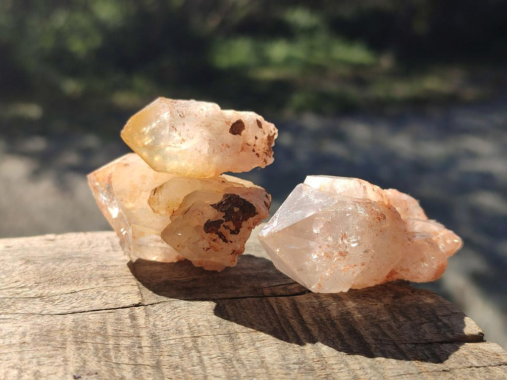 Natural Multi Mineral Specimens x 2.78 Kg Lot From Southern Africa - Toprock Gemstones and Minerals 