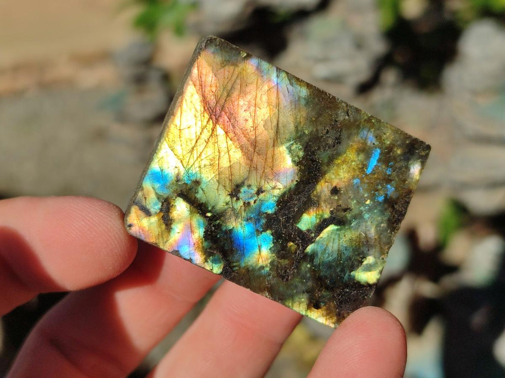 Polished One Side Labradorite Slices x 35 From Madagascar - Toprock Gemstones and Minerals 