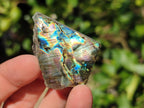 Polished One Side Labradorite Slices x 35 From Madagascar - Toprock Gemstones and Minerals 
