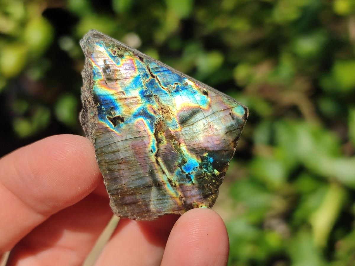 Polished One Side Labradorite Slices x 35 From Madagascar - Toprock Gemstones and Minerals 