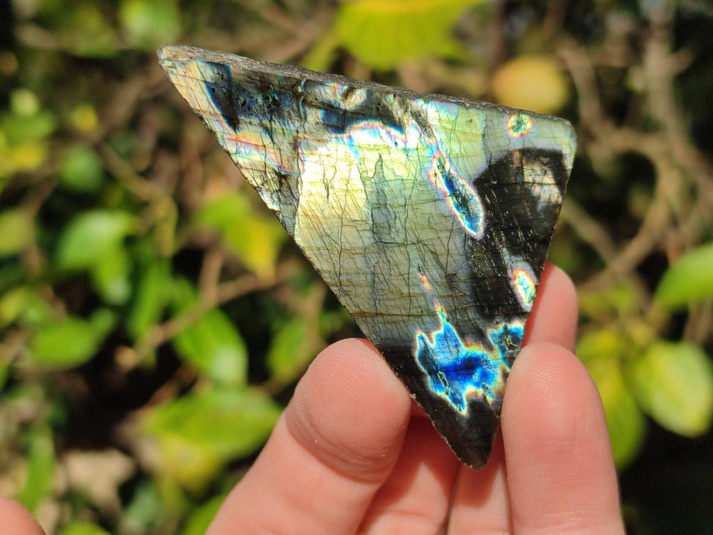 Polished One Side Labradorite Slices x 35 From Madagascar - Toprock Gemstones and Minerals 