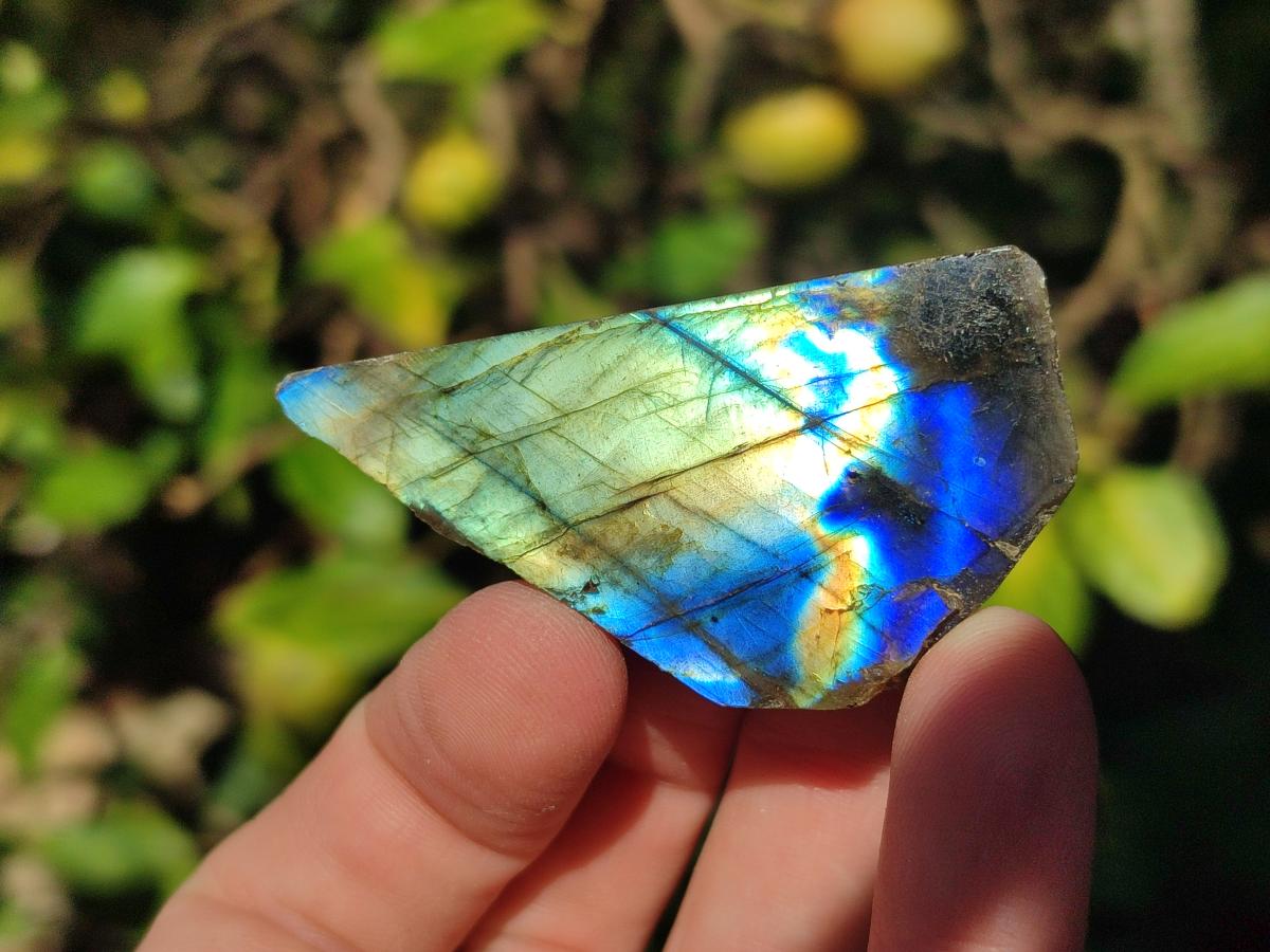 Polished One Side Labradorite Slices x 35 From Madagascar - Toprock Gemstones and Minerals 