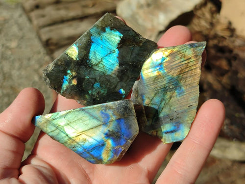 Polished One Side Labradorite Slices x 35 From Madagascar - Toprock Gemstones and Minerals 