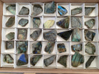 Polished One Side Labradorite Slices x 35 From Madagascar - Toprock Gemstones and Minerals 