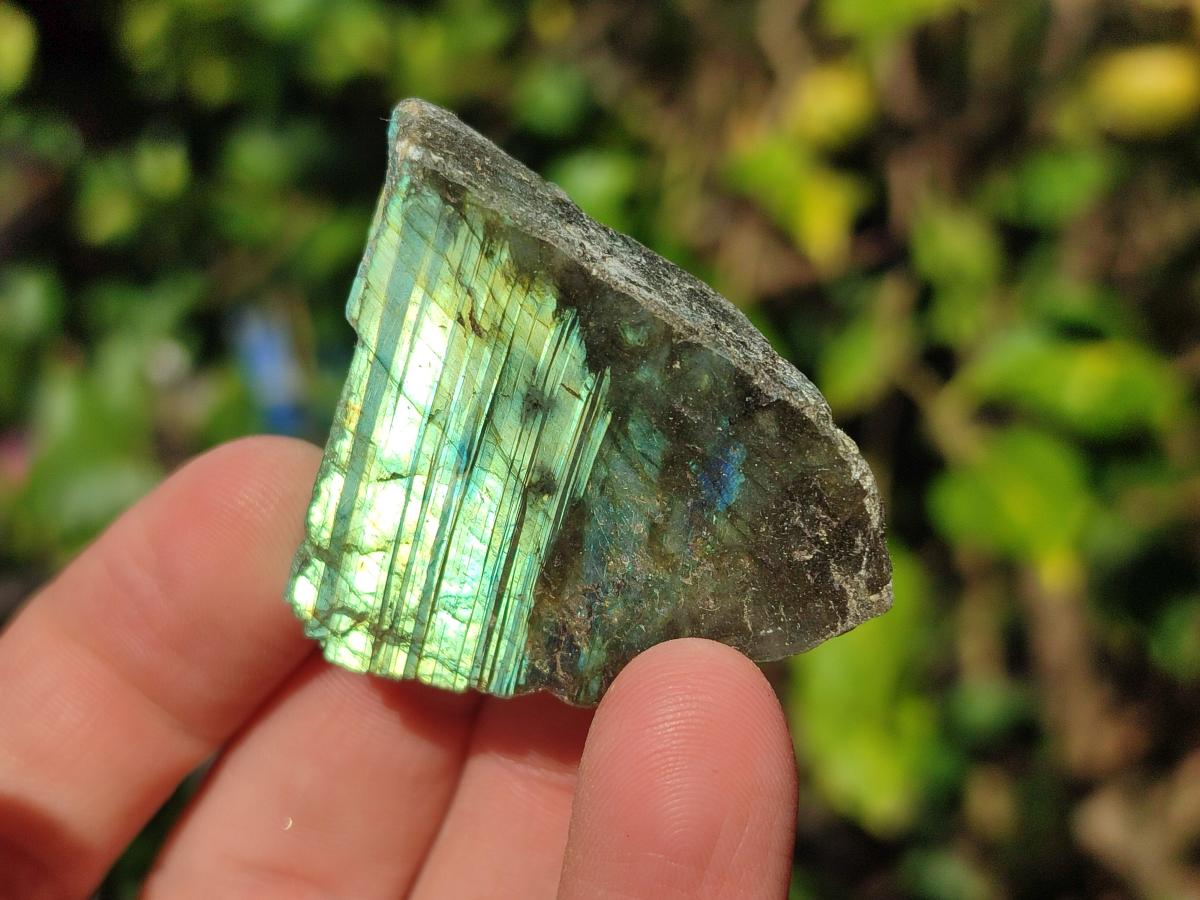 Polished One Side Labradorite Slices x 35 From Madagascar - Toprock Gemstones and Minerals 