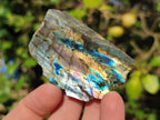Polished One Side Labradorite Slices x 35 From Madagascar - Toprock Gemstones and Minerals 