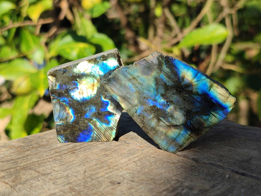 Polished One Side Labradorite Slices x 35 From Madagascar - Toprock Gemstones and Minerals 