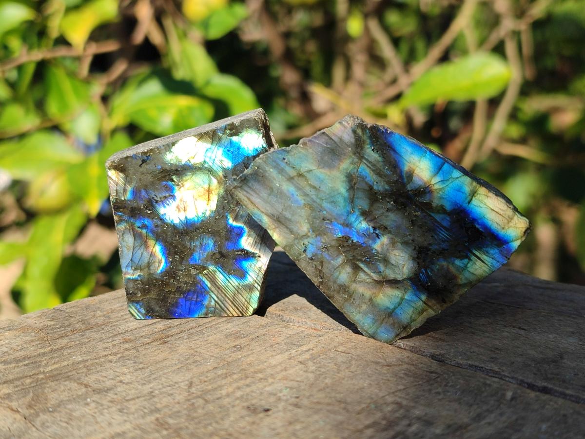Polished One Side Labradorite Slices x 35 From Madagascar - Toprock Gemstones and Minerals 