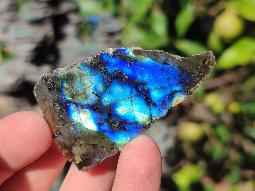 Polished One Side Labradorite Slices x 35 From Madagascar - Toprock Gemstones and Minerals 