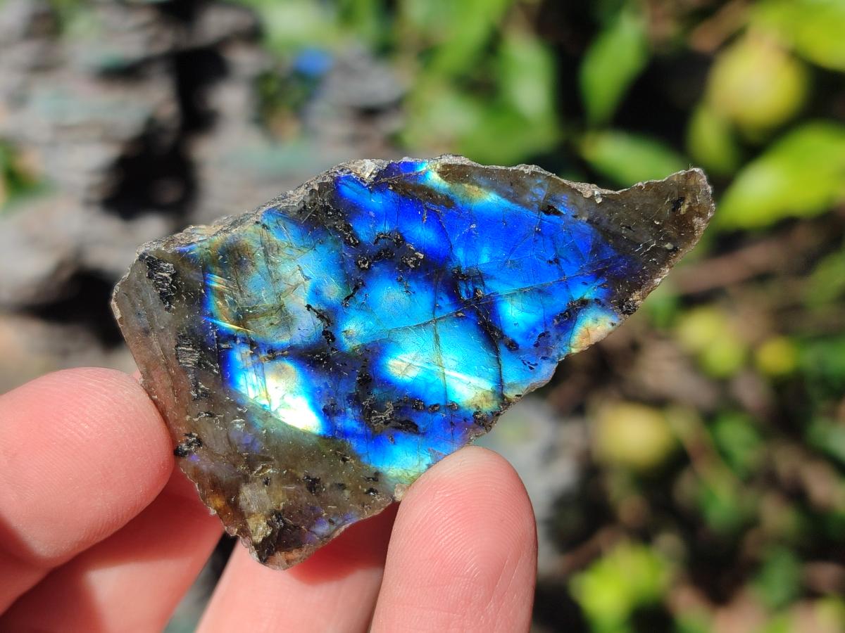 Polished One Side Labradorite Slices x 35 From Madagascar - Toprock Gemstones and Minerals 