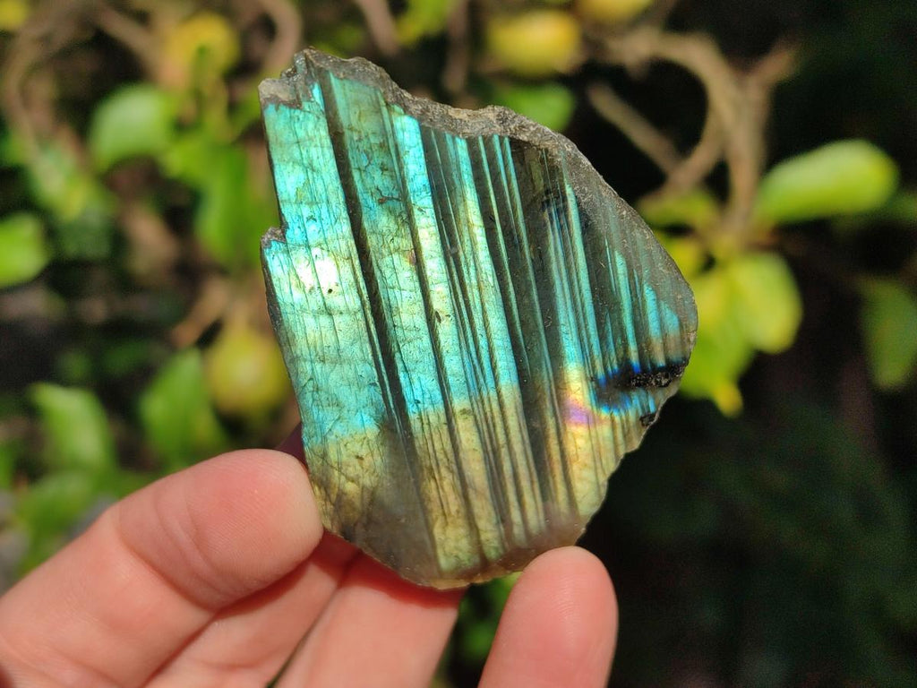 Polished One Side Labradorite Slices x 35 From Madagascar - Toprock Gemstones and Minerals 
