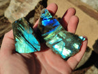 Polished One Side Labradorite Slices x 35 From Madagascar - Toprock Gemstones and Minerals 