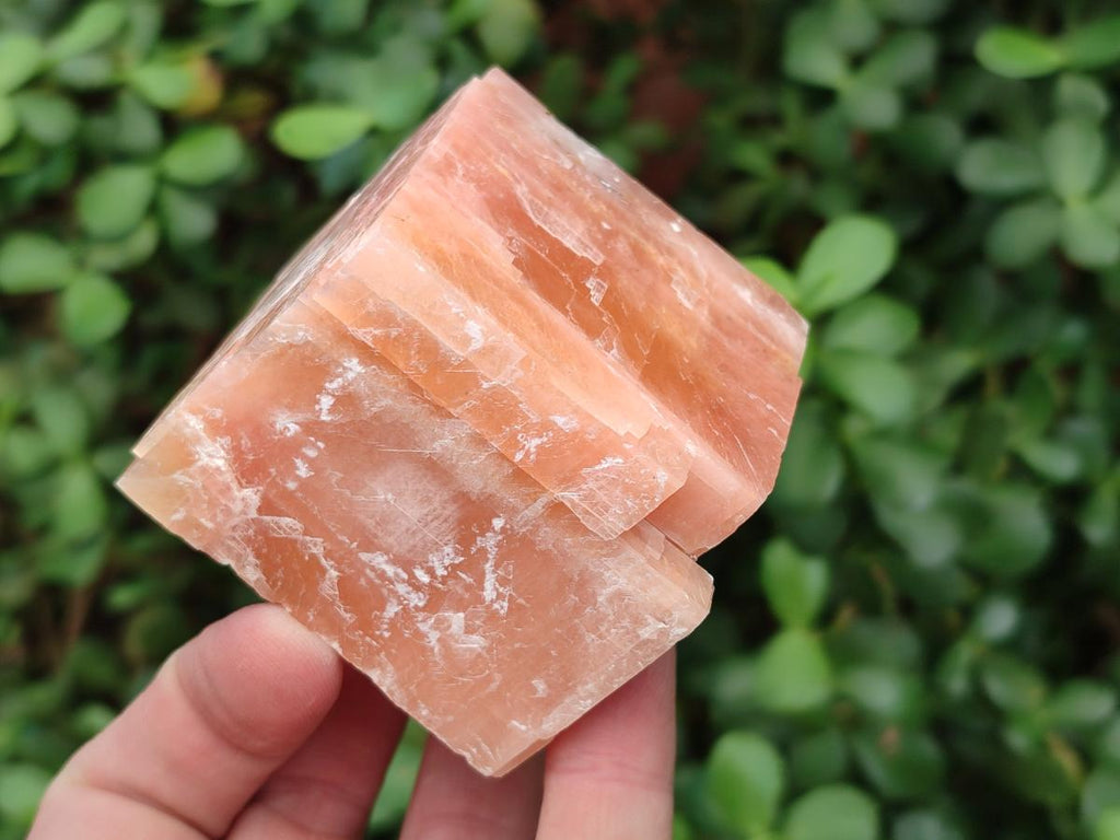 Natural Rhombohedral Sunset Orange Calcite Specimens x 12 From Spitzkop, Namibia - Toprock Gemstones and Minerals 