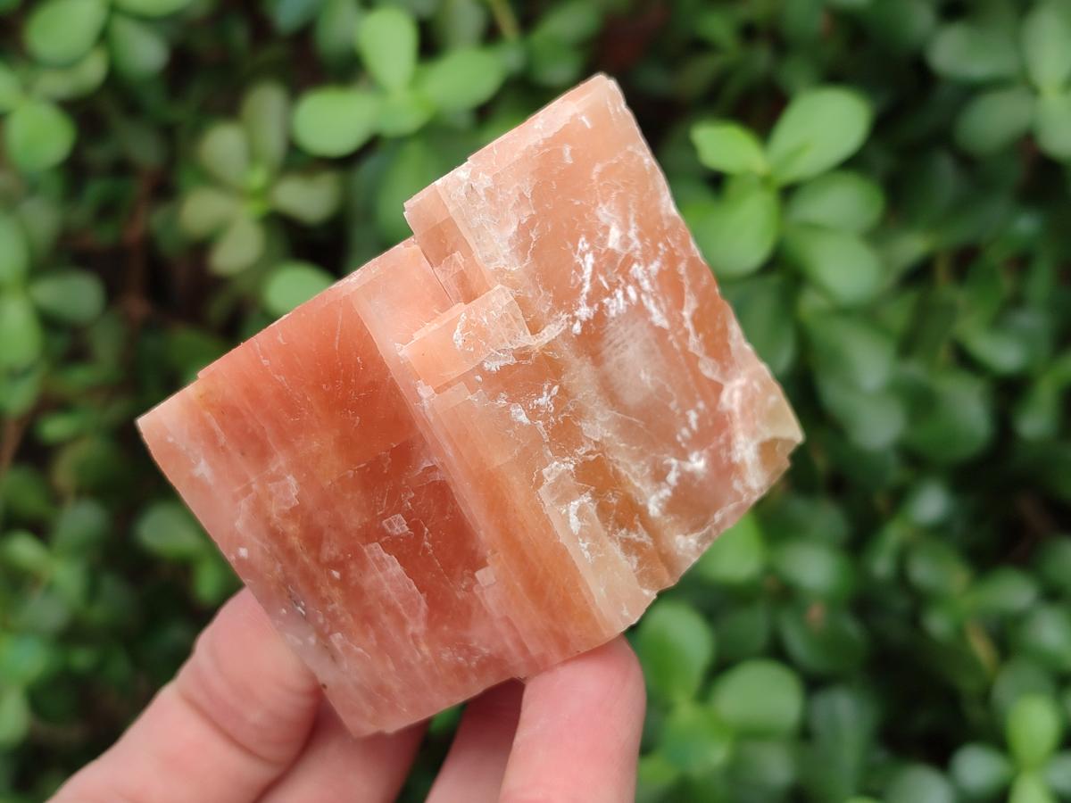 Natural Rhombohedral Sunset Orange Calcite Specimens x 12 From Spitzkop, Namibia - Toprock Gemstones and Minerals 