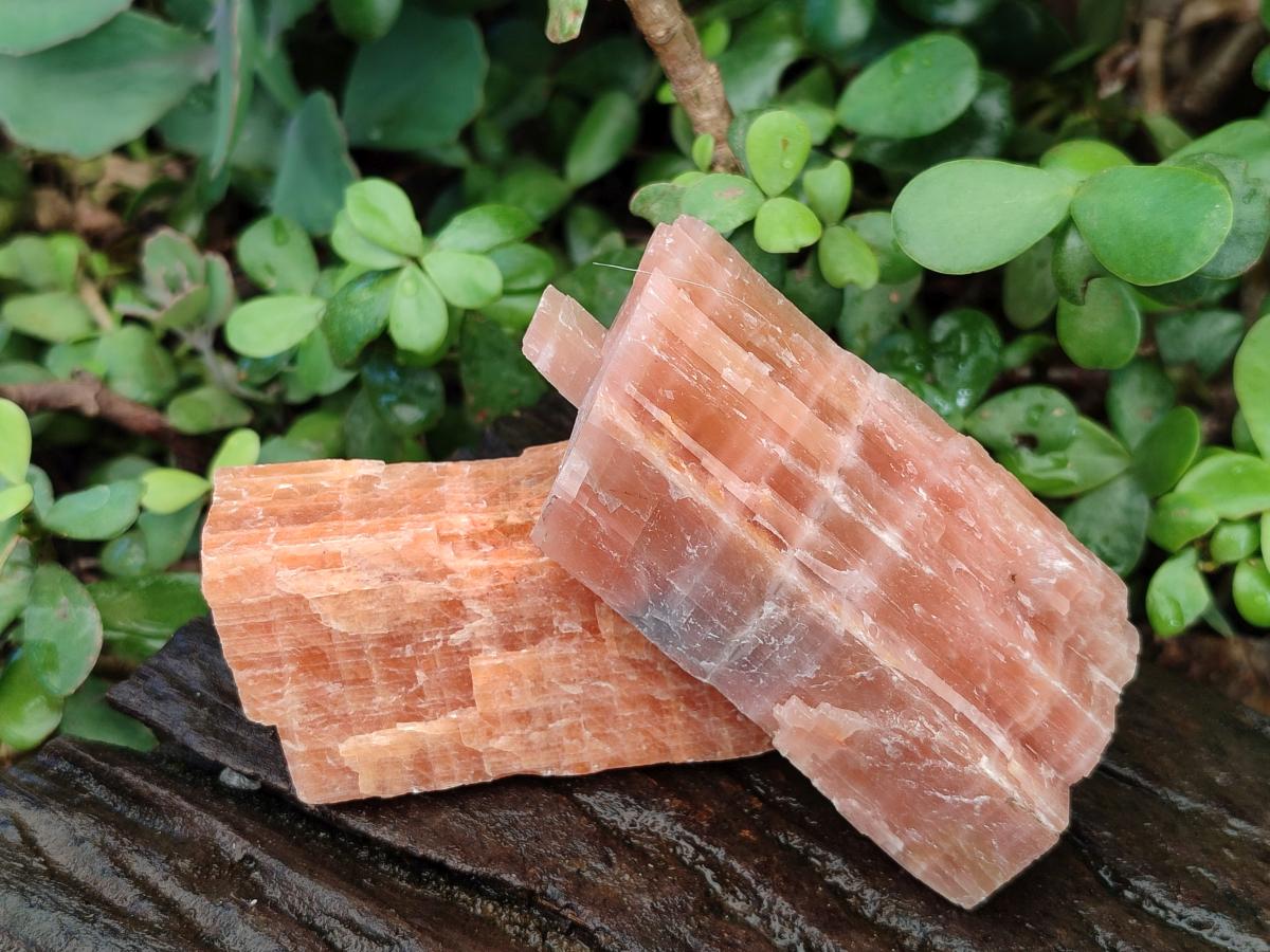 Natural Rhombohedral Sunset Orange Calcite Specimens x 12 From Spitzkop, Namibia - Toprock Gemstones and Minerals 