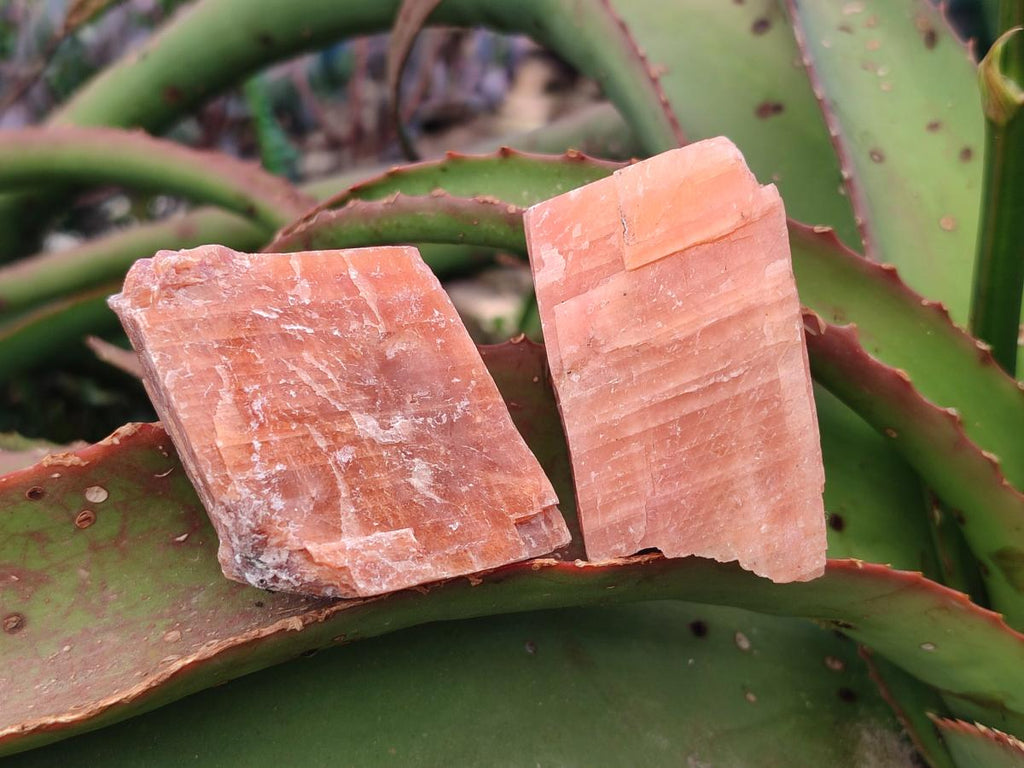 Natural Rhombohedral Sunset Orange Calcite Specimens x 12 From Spitzkop, Namibia - Toprock Gemstones and Minerals 