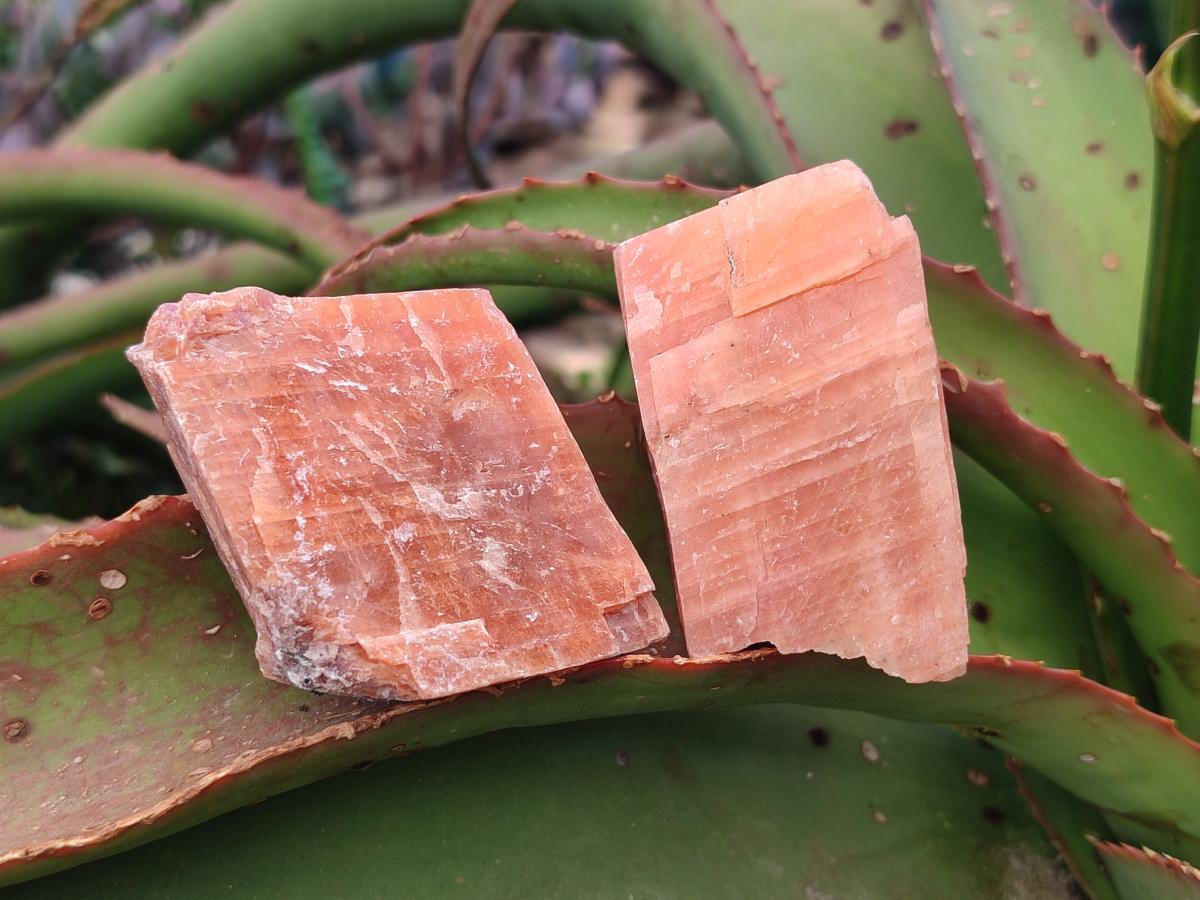 Natural Rhombohedral Sunset Orange Calcite Specimens x 12 From Spitzkop, Namibia - Toprock Gemstones and Minerals 
