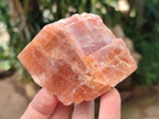 Natural Rhombohedral Sunset Orange Calcite Specimens x 12 From Spitzkop, Namibia - Toprock Gemstones and Minerals 
