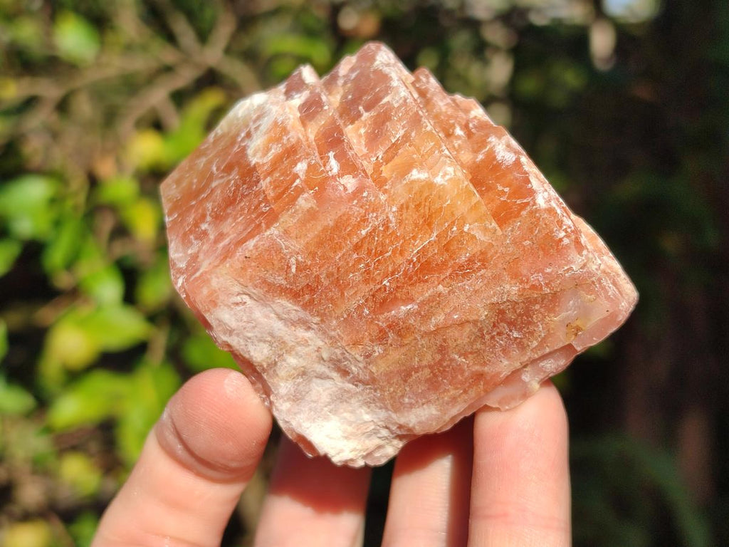 Natural Rhombohedral Sunset Orange Calcite Specimens x 12 From Spitzkop, Namibia - Toprock Gemstones and Minerals 
