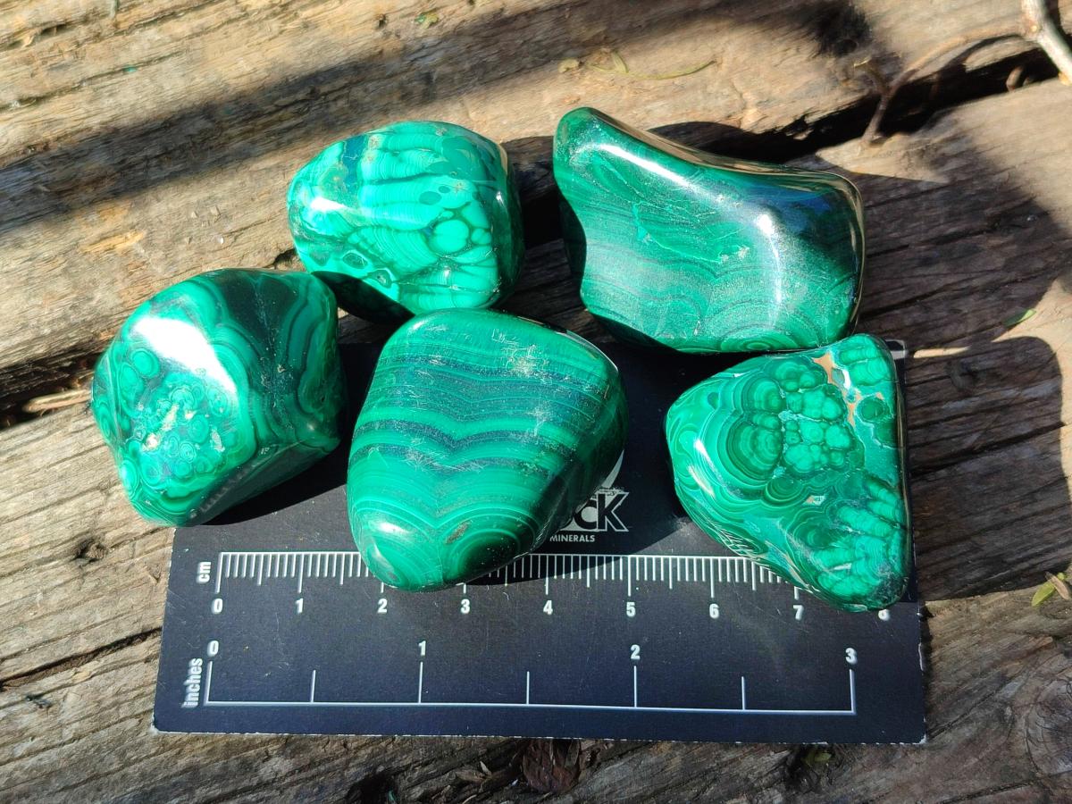 Polished Flower Banded Malachite Free Forms x 70 From Congo - Toprock Gemstones and Minerals 