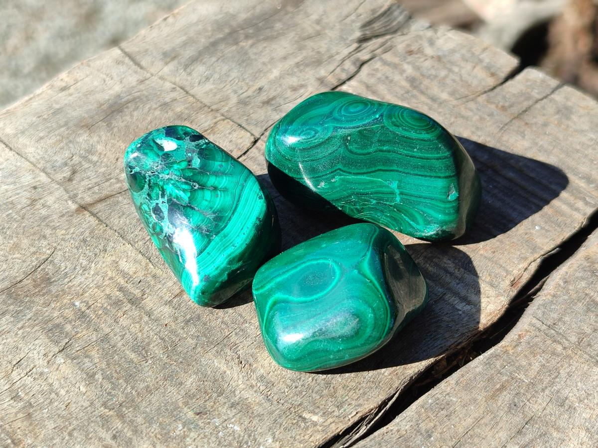 Polished Flower Banded Malachite Free Forms x 70 From Congo - Toprock Gemstones and Minerals 