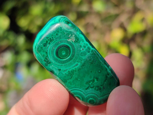 Polished Flower Banded Malachite Free Forms x 70 From Congo - Toprock Gemstones and Minerals 