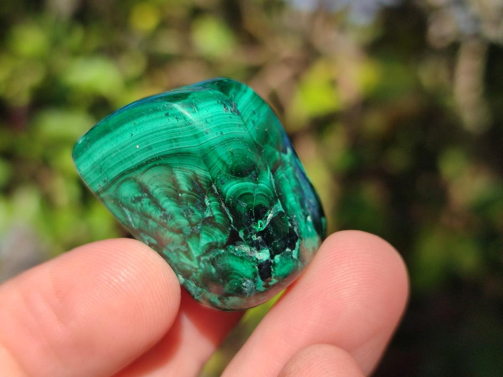 Polished Flower Banded Malachite Free Forms x 70 From Congo - Toprock Gemstones and Minerals 