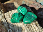 Polished Flower Banded Malachite Free Forms x 70 From Congo - Toprock Gemstones and Minerals 