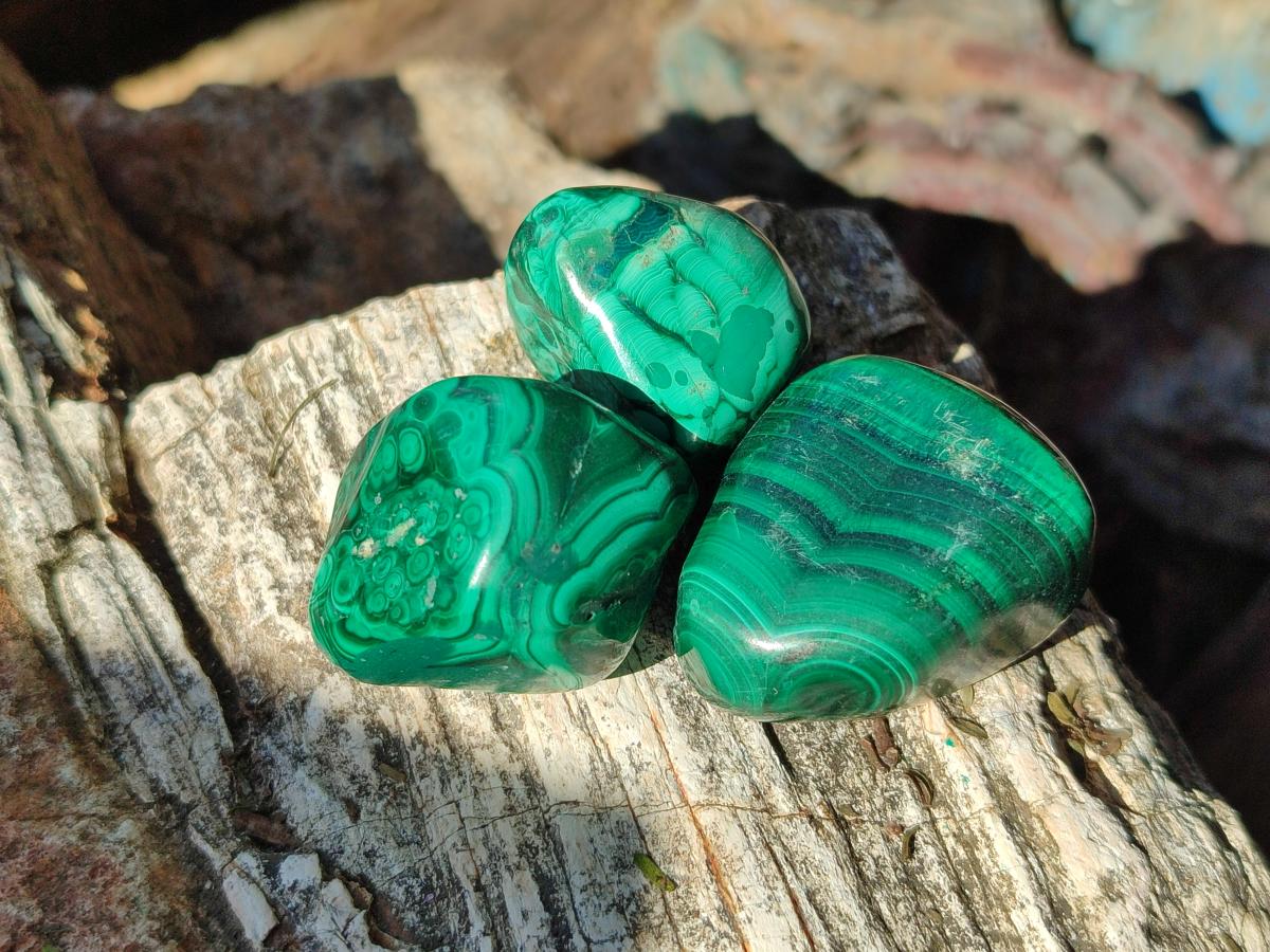 Polished Flower Banded Malachite Free Forms x 70 From Congo - Toprock Gemstones and Minerals 