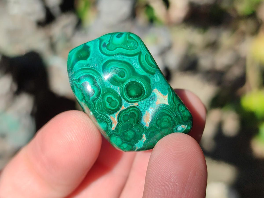 Polished Flower Banded Malachite Free Forms x 70 From Congo - Toprock Gemstones and Minerals 