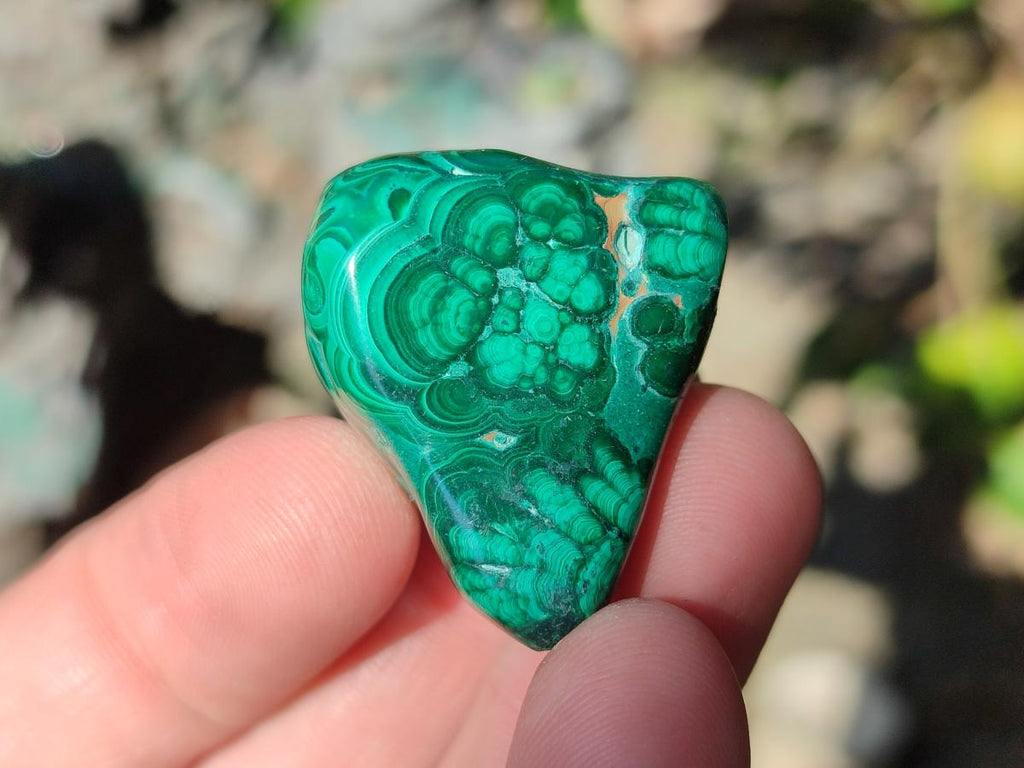 Polished Flower Banded Malachite Free Forms x 70 From Congo - Toprock Gemstones and Minerals 