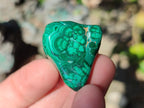 Polished Flower Banded Malachite Free Forms x 70 From Congo - Toprock Gemstones and Minerals 