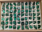Polished Flower Banded Malachite Free Forms x 70 From Congo - Toprock Gemstones and Minerals 