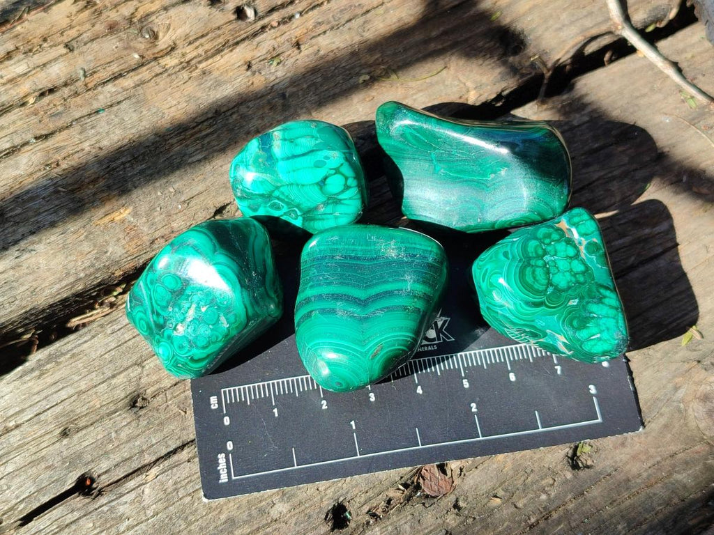 Polished Flower Banded Malachite Free Forms x 70 From Congo - Toprock Gemstones and Minerals 