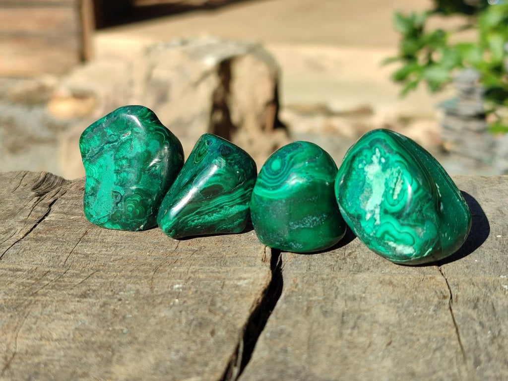 Polished Flower Banded Malachite Free Forms x 70 From Congo - Toprock Gemstones and Minerals 