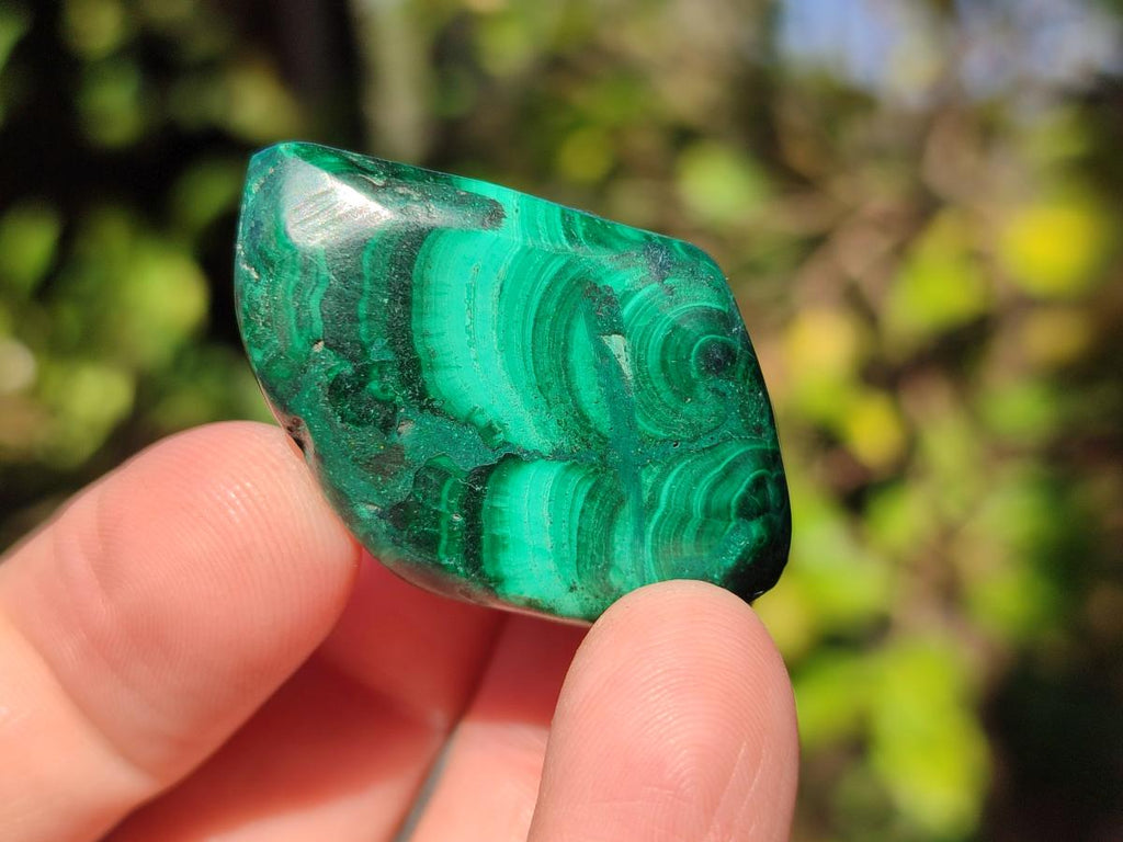 Polished Flower Banded Malachite Free Forms x 70 From Congo - Toprock Gemstones and Minerals 