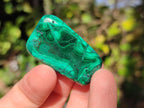 Polished Flower Banded Malachite Free Forms x 70 From Congo - Toprock Gemstones and Minerals 